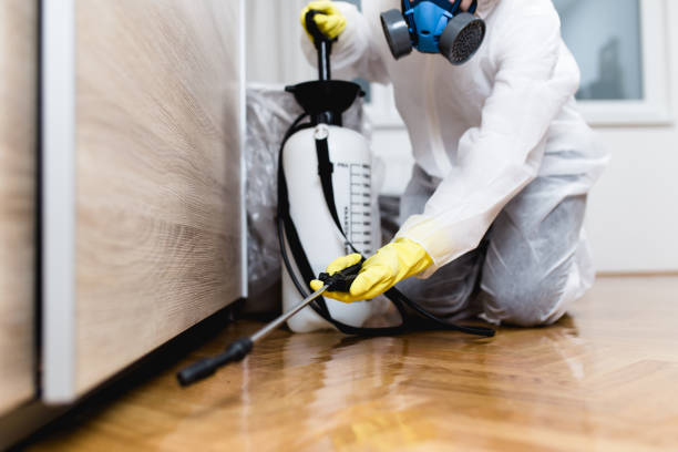 Best Pest Control for Businesses  in Ramtown, NJ