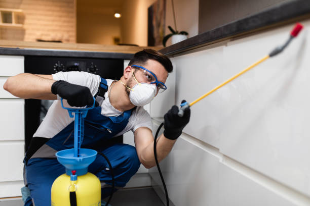Best Ant Control Services  in Ramtown, NJ