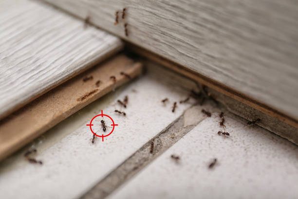 Best Wildlife Control Services  in Ramtown, NJ