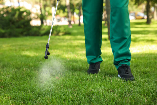 Best Insect Control  in Ramtown, NJ