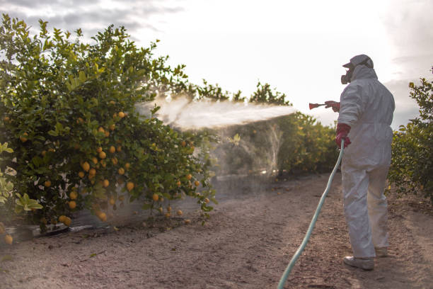 Best Pest Control Near Me  in Ramtown, NJ