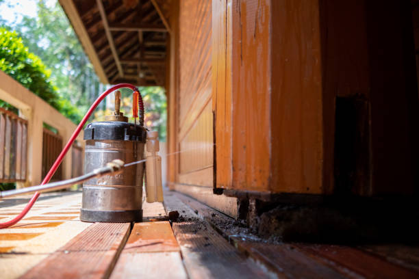 Best Cockroach Control Services  in Ramtown, NJ
