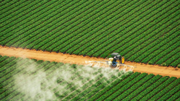 Best Pest Control Treatment  in Ramtown, NJ