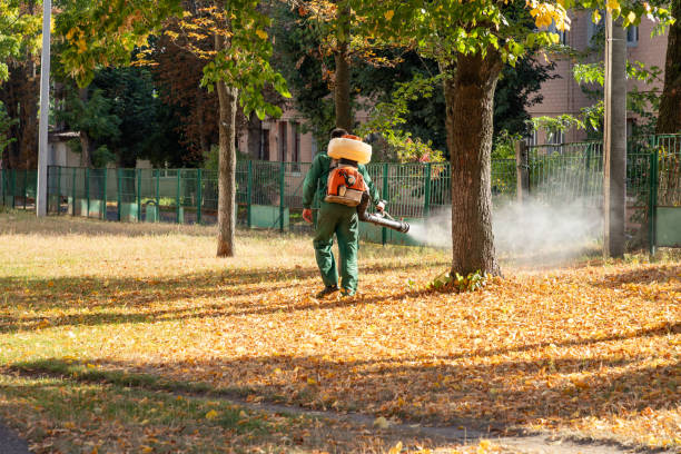 Best Flea Control Services  in Ramtown, NJ