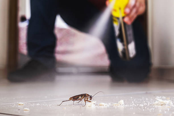 Best Pest Inspection Near Me  in Ramtown, NJ
